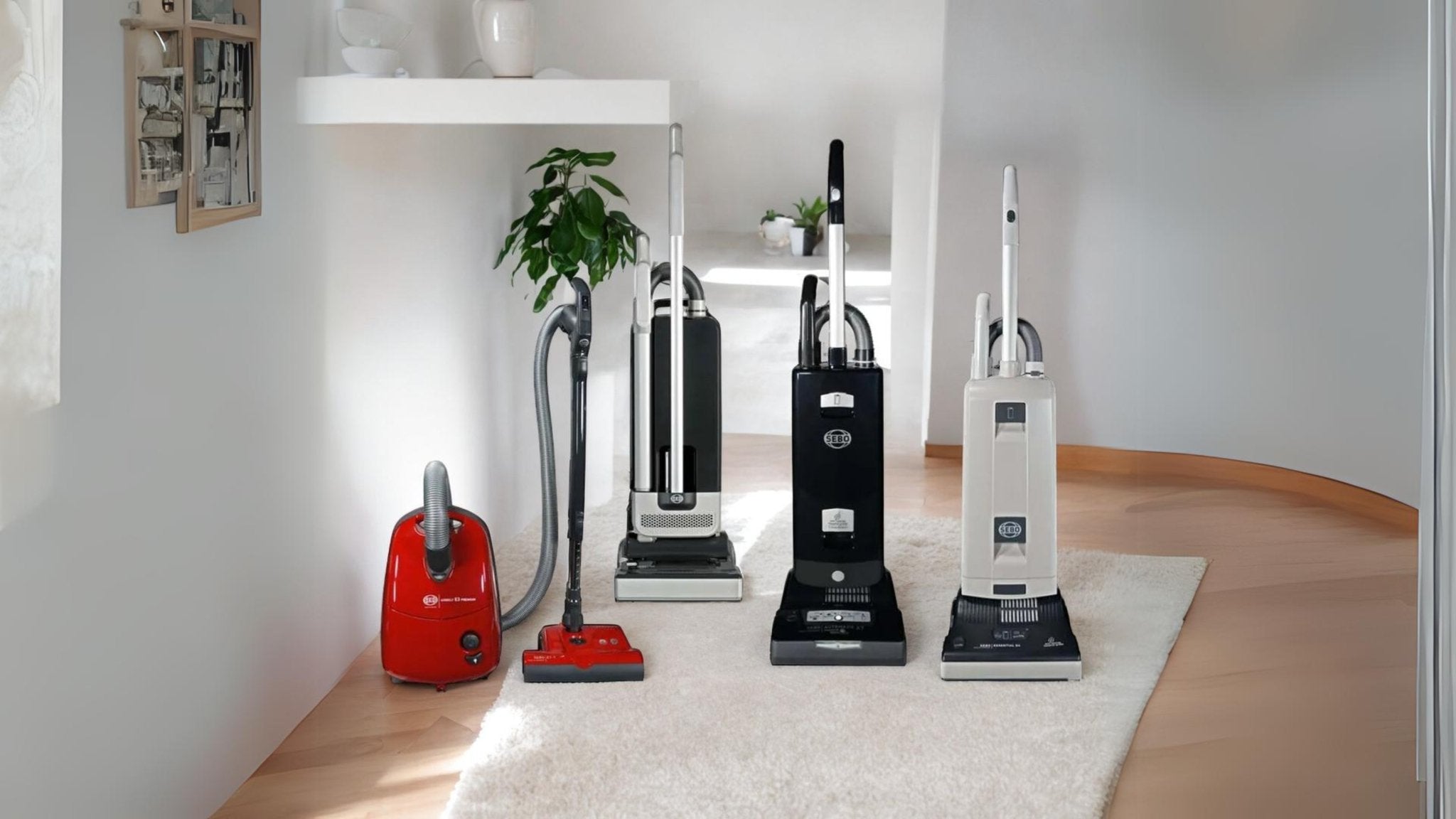 Why SEBO is the Perfect Choice for Your Vacuum Needs? Superior Vacuums