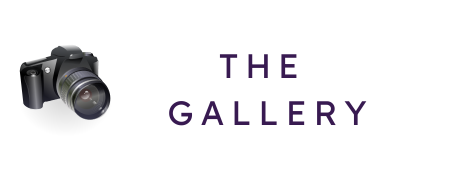The Gallery