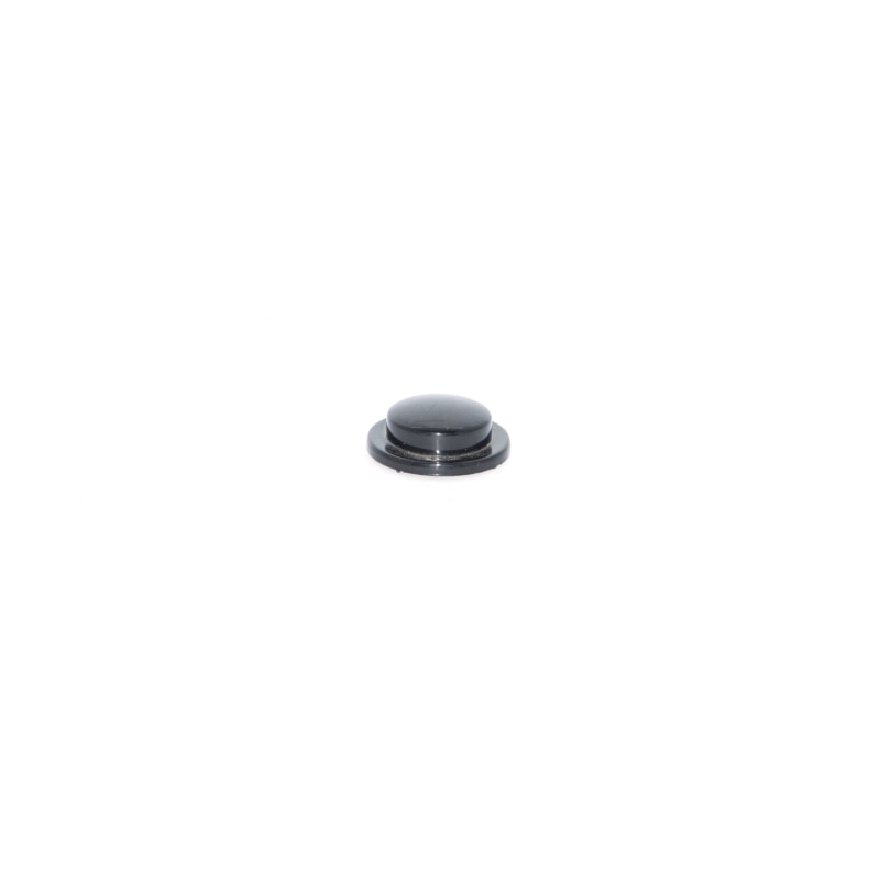 Ladybug Decoration Part - Eyes - Vacuum Parts