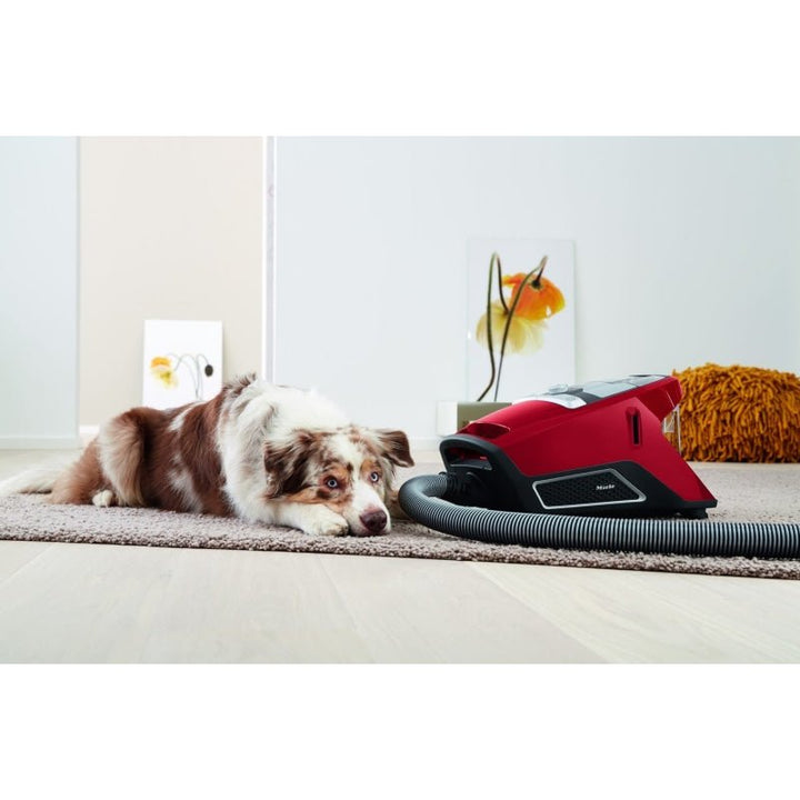 Miele Blizzard Cat & Dog Canister Vacuum (CX1) – Autumn Red - Canister Vacuum