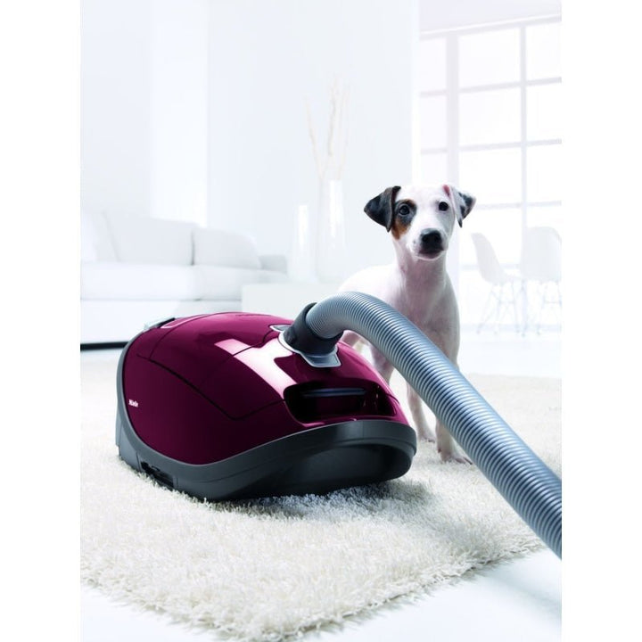 Miele C3 Cat & Dog Canister Vacuum Cleaner - Canister Vacuums