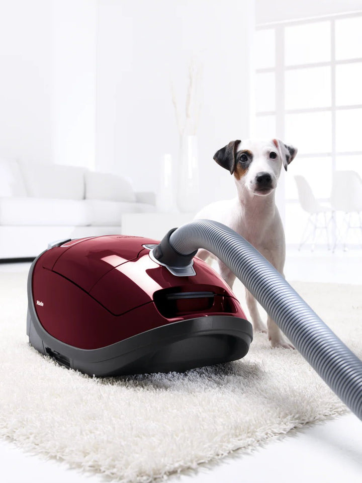 Miele C3 Limited Edition Canister Vacuum Cleaner - Canister Vacuums