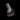 Black Oval Dusting Brush - Tools & Attachments