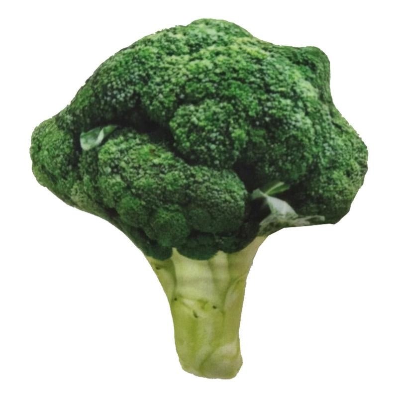 Durable Broccoli Squeaky Dog Toy - Pet Products