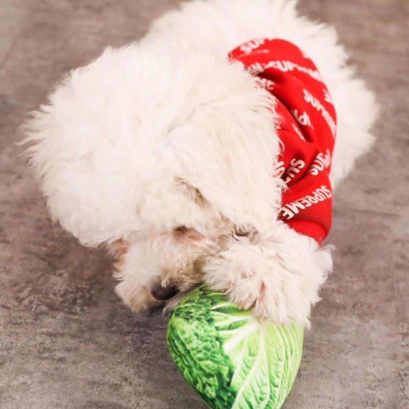 Durable Cabbage Squeaky Dog Toy - Pet Products