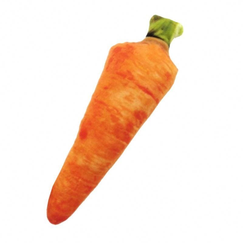 Durable Carrot Squeaky Dog Toy - Pet Products
