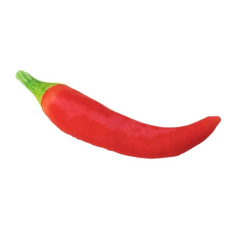 Durable Chili Pepper Squeaky Dog Toy - Pet Products