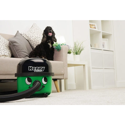 Numatic Henry Pet Care 160 Canister Vacuum - Canister Vacuums