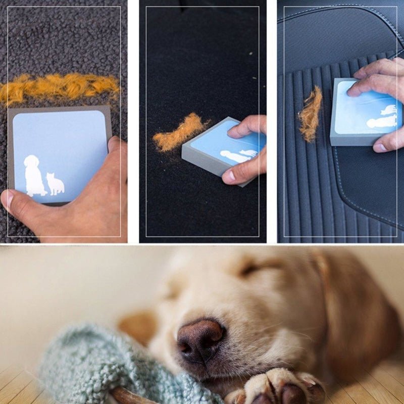 Pet Hair Removal Foam - Pet Hair Sponge