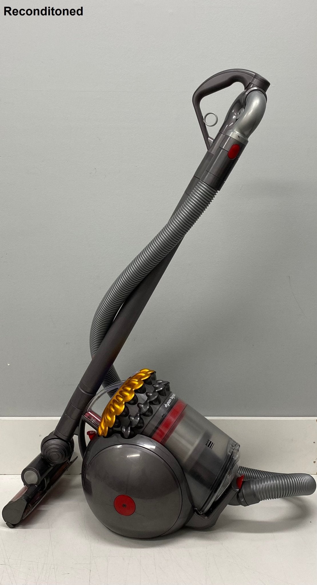 Dyson Big Ball Bagless Multifloor sale Canister Vacuum