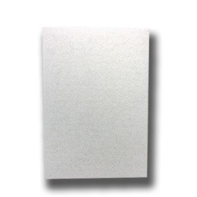 Riccar OEM Intake Secondary Filter - Vacuum Filters