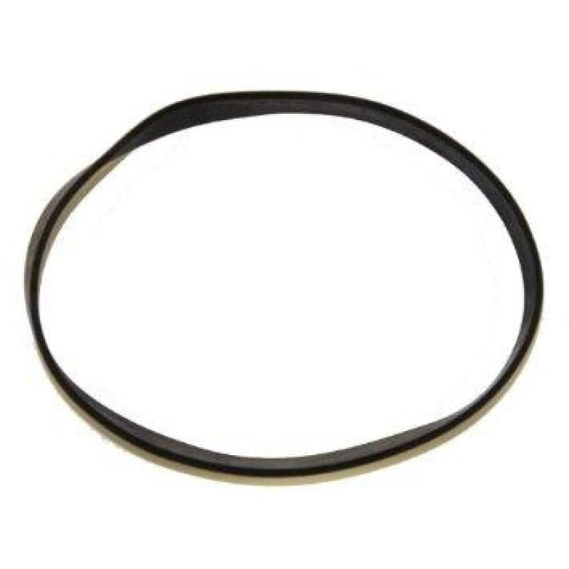 Royal Dirty Devil OEM Flat Belt - 5/8 X 7 1/4 - Vacuum Belt