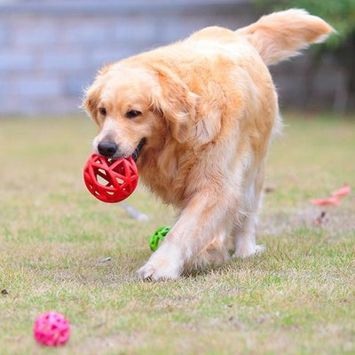 Rubber Fence Ball - Large - Pet Products