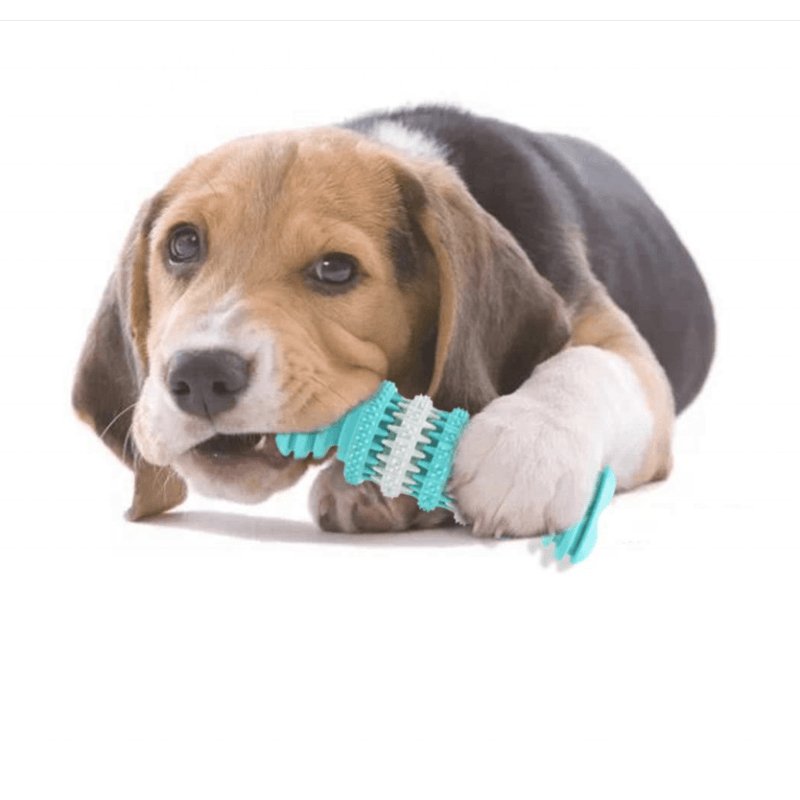 Rubber Gear Dog Dental Chew Bone Dog Toy - Medium - Pet Products