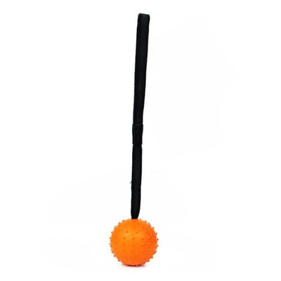 Solid Rubber Fetch Spike Ball on a Nylon Strap - Pet Products